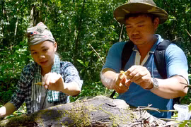 Chàng trai 'gàn' cùng hành trình trả hoa lan về tự nhiên và giới thiệu ra thế giới