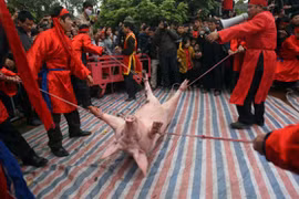 Nếu bị đau tim - Đừng xem chém lợn