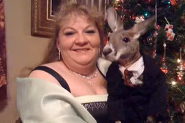 Người phụ nữ nuôi Kangaroo như con