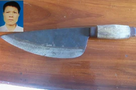 Một gia đình bị truy sát bằng dao chọc tiết lợn