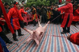 Nếu bị đau tim - Đừng xem chém lợn