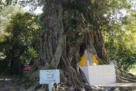 Tháp cổ 7 tầng huyền bí trên núi Đề Liêm