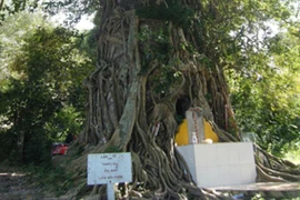 Tháp cổ 7 tầng huyền bí trên núi Đề Liêm