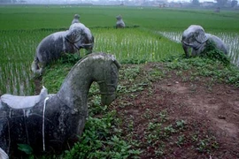 Bí ẩn ngôi mộ cổ khổng lồ giữa cánh đồng