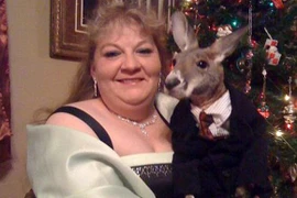 Người phụ nữ nuôi Kangaroo như con
