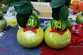 Bưởi hồ lô - Trái lạ chơi Tết 