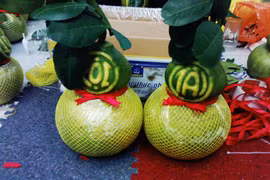 Bưởi hồ lô - Trái lạ chơi Tết 