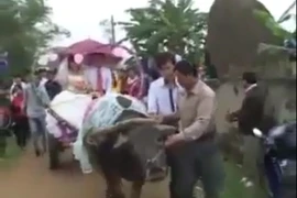 Độc đáo hơn các đại gia: Đám cưới rước dâu bằng xe trâu