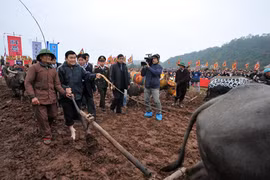 Chủ tịch nước đi cày tại lễ hội xuống đồng