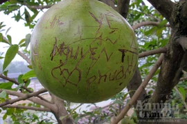 Đào tiên nhà chùa tan nát vì… lời tỏ tình