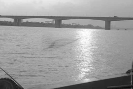 Xôn xao bức ảnh quái vật dài 40m, bơi giữa sông Hồng