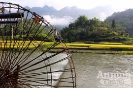 Gạt cơn “bão trắng”