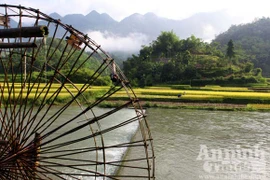 Gạt cơn “bão trắng”
