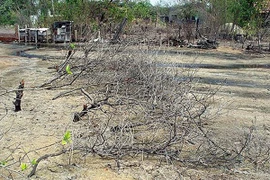 Cha ăn mặn... cha khát