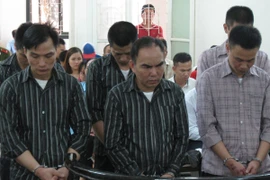 Ổ nhóm trộm cắp gỗ sưa bị phạt tù đích đáng