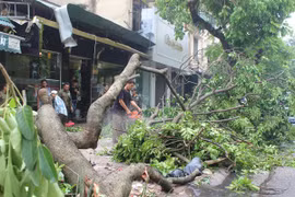 Cần thêm thời gian để khắc phục hậu quả cơn giông lịch sử