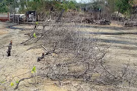 Cha ăn mặn... cha khát