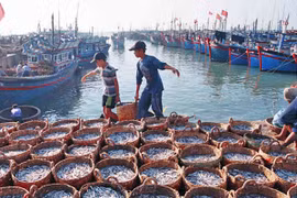 Tăng tiềm lực kinh tế để bảo vệ Biển Đông