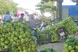 Đề xuất xe máy “cõng” thêm phí kiểm định khí thải