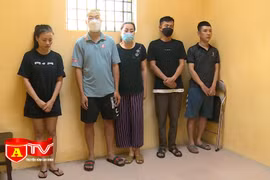 Bắt nhóm đối tượng chiếm đoạt sim điện thoại và tài khoản ngân hàng