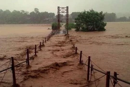 Lũ lớn trên sông Hồng, ít nhất 9 người tại Lào Cai mất tích
