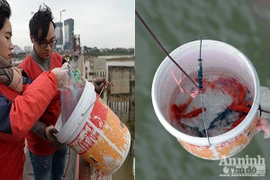 Xem "phương tiện" đặc biệt đưa cá chép xuống sông tiễn ông Táo