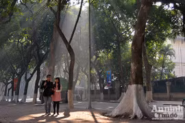 Hà Nội đẹp lạ trong nắng xuân sớm mùng một tết