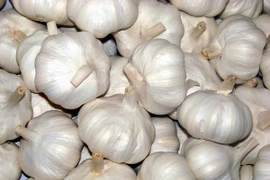Tỏi Trung Quốc tung hoành vì giá rẻ