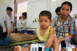 Đề xuất khen thưởng cô giáo che chở học sinh khi ong rừng tấn công