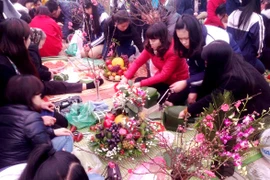 Tết Đinh Dậu, học sinh Hà Nội nghỉ 8 ngày