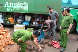 Phát hiện, xử lý xe khách chở thú rừng và sản phẩm gỗ trái phép