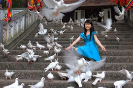 Lễ hội tôn vinh hòa bình