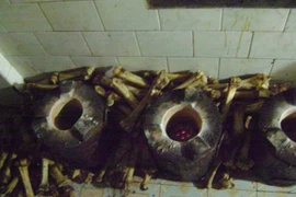 Thu cả tấn xương không rõ nguồn gốc trong cơ sở sản xuất thuốc