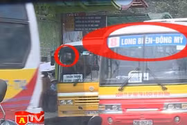 Xử lý nghiêm xe bus nhái, xe khách trá hình