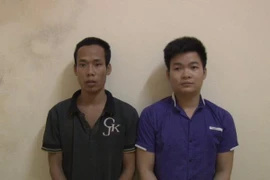 Đánh cả ô tô đi trộm cắp tài sản