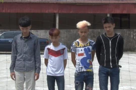 Lời khai của 4 "gã choai" ném đá xe ô tô trên đường cao tốc