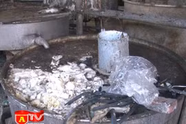 Lực lượng chức năng thu giữ 3 tấn mỡ "bẩn"