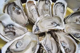 Top 10 thực phẩm giúp bạn thăng hoa 