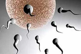 Phát hiện gen mới giúp tạo ra thuốc tránh thai cho nam giới