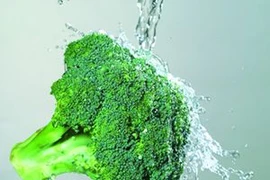 Thực phẩm giữ mãi nét tươi trẻ