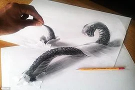 Tranh vẽ 3D sống động như thật