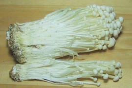 Trung Quốc: Nấm kim châm bị ngâm trong hóa chất cực độc