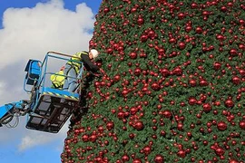 Choáng ngợp với cây thông Noel khổng lồ