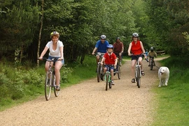 Hoạt động thể chất giúp đẩy lùi stress