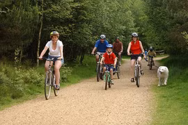 Hoạt động thể chất giúp đẩy lùi stress