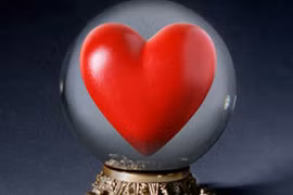 Chế tạo bùa mê từ đồ lót và lông mèo