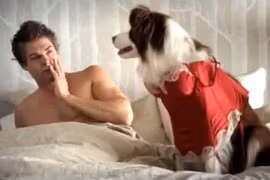 Bị vợ từ chối, liền lên giường với…chó