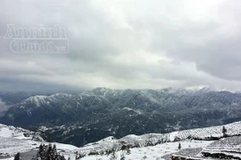 Tuyết rơi trắng xóa Ô Quy Hồ, du khách đổ về Sa Pa