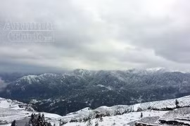 Tuyết rơi trắng xóa Ô Quy Hồ, du khách đổ về Sa Pa