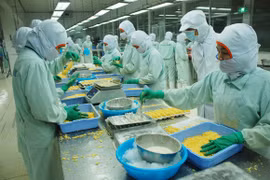 Doanh nghiệp sản xuất, chế biến nông sản, thu mua lúa gạo... được ưu tiên vay vốn